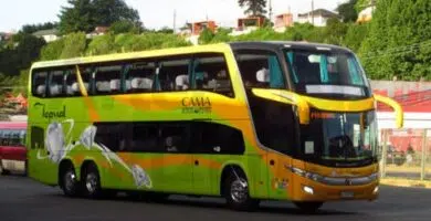 Logo de Buses Tepual