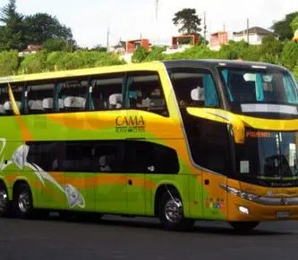 Logo de Buses Tepual